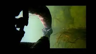 12 09 24  р  Урта Буртя Летняя медитация