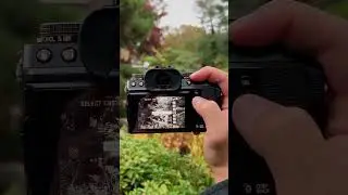 Fujifilm Film Simulations on Fujifilm X-T5