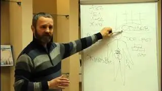 О людинах в некоторой стране