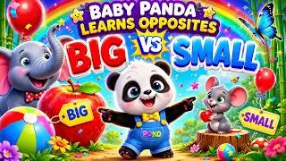 Learns Opposites with Baby Panda🐼 | Big vs Small | Fun Learning for Kids