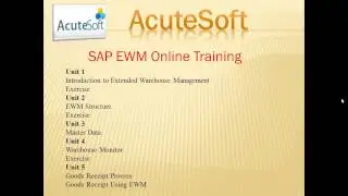 SAP EWM Online Training