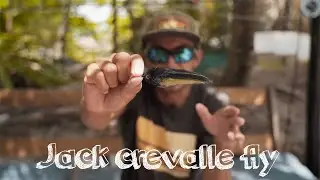 [MY FAVORITE SPECIE ON THE FLY]  [HERE’S WHY]