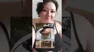 Панда и баскетбол🤣