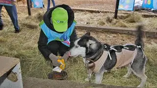 «Добрые дела» в Салавате, 30.10.2021 г