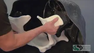 VSI Bovine Theriogenology Model: Perineum Panel Removal