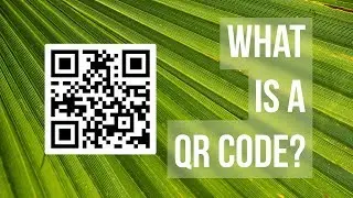 What the heck is a QR code?