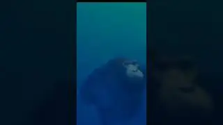 в этот раз мем не по СК 