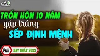 Trốn Hôn 10 Năm Gặp Trúng SẾP ĐỊNH MỆNH Đọc Truyện Ngôn Tình Sập Bẫy Ông Chủ Đẹp Trai Lạnh Lùng ANO