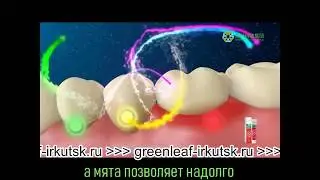 Зубная паста без фтора Carish  Продукция  