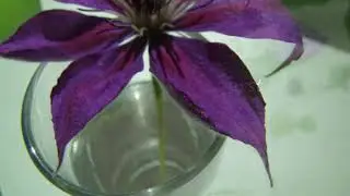 На полях страны. 13.08.2023