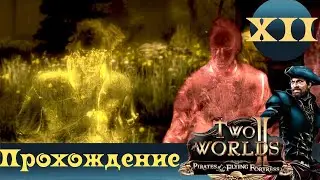 Two Worlds 2 PoFF ➤ [Прохождение #12] ➤ Багованая семейка Кэнга