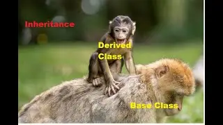 CS305 Inheritance by RAVI KUMAR GPC DUNGARPUR