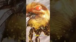 Enemy of Honeybees 🤯