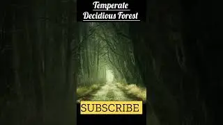 Where are temperate deciduous forests typically found geographically? #short