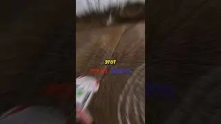 Biker and box.. 😶‍🌫️