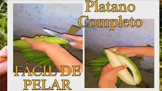 Como PELAR Plátano Verde *fácil* 2024 || Natural Force