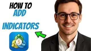 How to Add Indicators on MetaTrader 5 (2025 Beginner’s Guide)