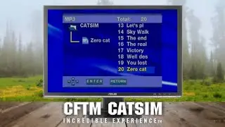 Симулятор Кошки 2 - DCSV! Почему НЕВОЗМОЖЕН? Симулятор Кошки 2015 - Cat Simulator