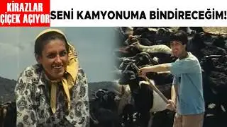 Kiraz Çiçek Açıyor Türk Filmi | Köyün Delisi Kiraz'a Göz Koyuyor