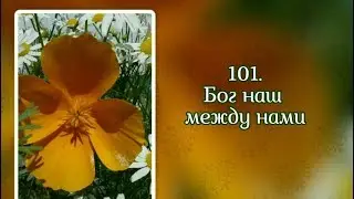 Гимны надежды 101 Бог наш между нами (-)