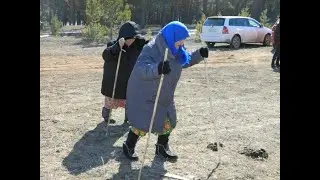 бабка с палками