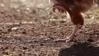 ΦΥΣΙΟΛΟΓΙΚΑ ΚΑΙ ΦΥΣΙΚΑ