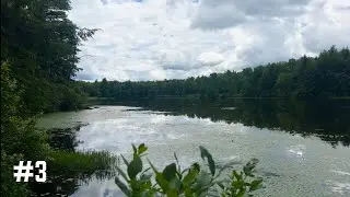 Loyalsock Trail Thru Hike 2024 Part 3 - Buggy muddy long day