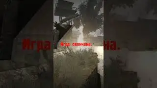 Любопытный сталкер Мёртвый  сталкер #dms #fans #сталкер #stalker #shorts