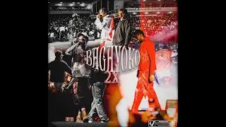 LEVIZY 501 Feat 2DS - BAGAYOKO X2 (VISUALIZER)