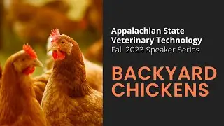 App State Vet Tech Speaker Series: Backyard Chickens
