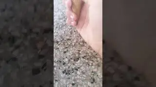 Just a vlog