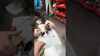 Audi Q3 на ремонт муфты Haldex