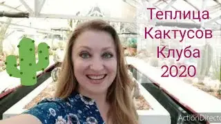 Я в Теплице 🌵Кактусов🌵( Лето 2020)