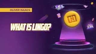 What is Lingo?