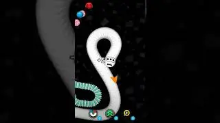 Nagfas Me Fse Two Snake