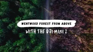 Wentwood Forest from above with the DJI Mini 2