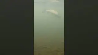 Риболов на блесна
