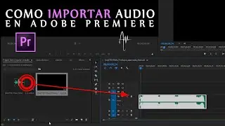 Cómo IMPORTAR AUDIO en Adobe Premiere Pro | Importando audio para edición de video