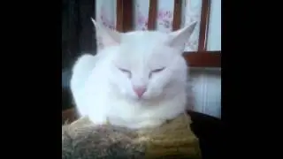 Аня Рябинина — смотри на жизнь проще, живи ненапряжно