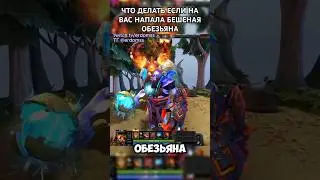Что делать если на вас напала бешеная обезьяна Dota 2 #dota2 #дота2смешно #dotamemes #стрим #games