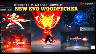 New Evo Gun Skin Woodpecker//upcoming evo gun