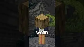 Minecraft, But I Can't Touch the Color Blue...