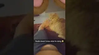 sniff my foot Rustle jan 2017