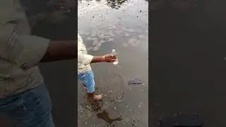 Maihar Temple: Discovering the Serene Allah Udal Pond Location 🌊🕍 #maihar #shardamaa #temple #maa