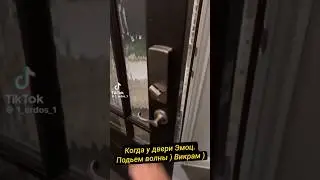 Когда у Двери эмоциональный подъем волны #дизайнчеловека #викрамдизайнчеловека #юмор