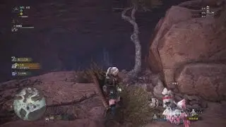 抓虹色大獨角仙 稀有生物 魔物獵人