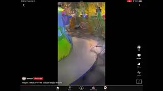 Blippi’s a monkey on the swings but it gets faster every time