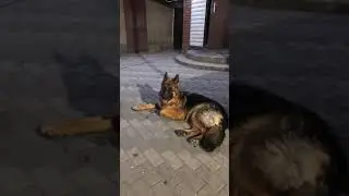 20.05.24. Прямой эфир после трудового дня