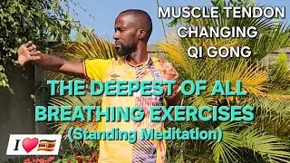 Qi Gong: Damo's Yijin jing #qigong #breathwork