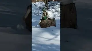 Читайте книги,пока мы не стали деревянными)